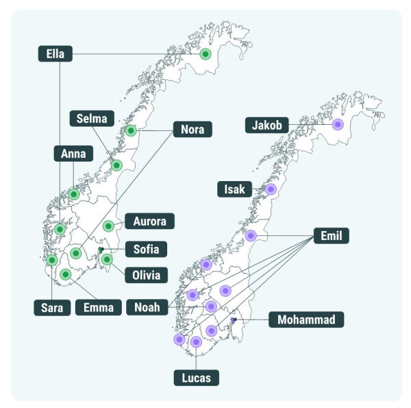 Kva skal barnet heite?