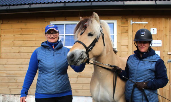 Debutant på hingsteutstilling