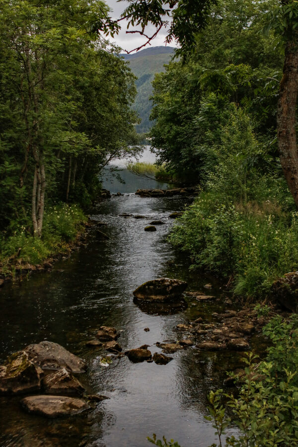 Dieselutslepp i elv