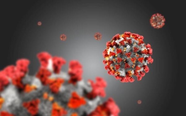Koronavirus frå messebesøk og Vikemarka skule