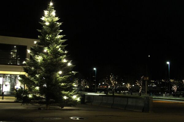 Det blir tradisjonell julegrantenning i Volda