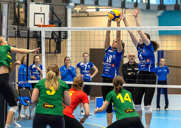 Landets beste volleyballag til Volda