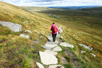 Nasjonalparkar skal lokke til seg reiselivskroner