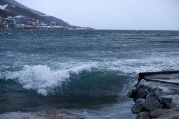 Rekordhøgt havnivå