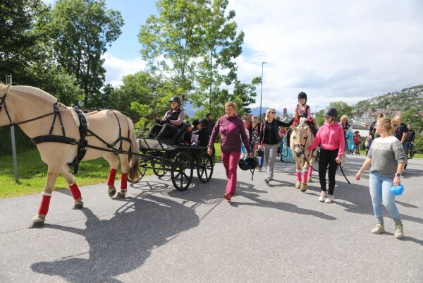 Sjå foto frå fantetoget til Haualeite