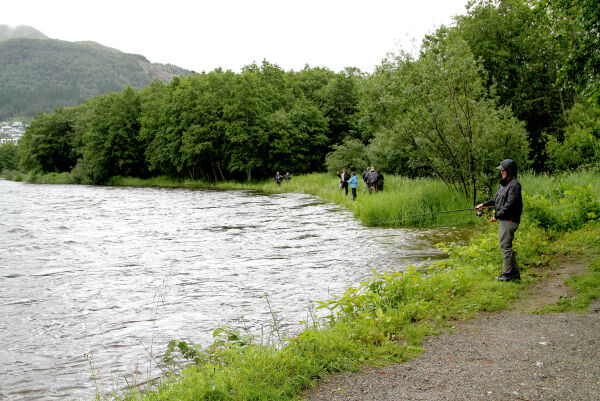 Elendig laksefiske i Møre og Romsdal
