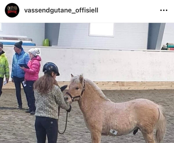 Vassendgutane er stolte fadrar