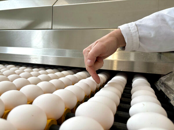 Nortura: – Det blir nok egg til påske