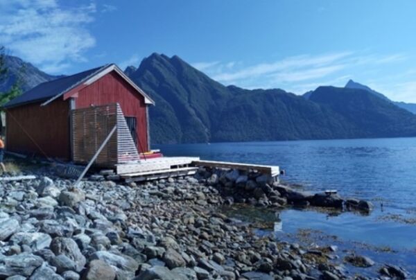 - Svært graverande og trist