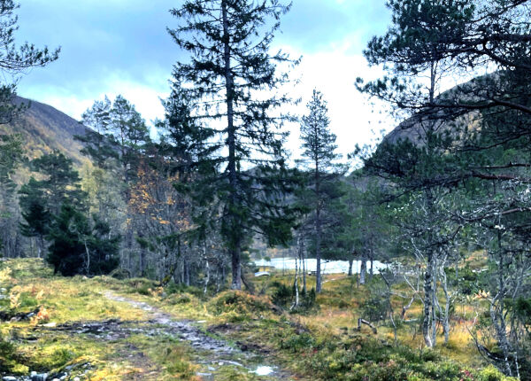 Vil ha nasjonalpark på Sunnmøre