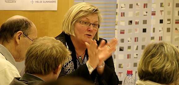 - Vil vurdere helsetenestene i grenseområda