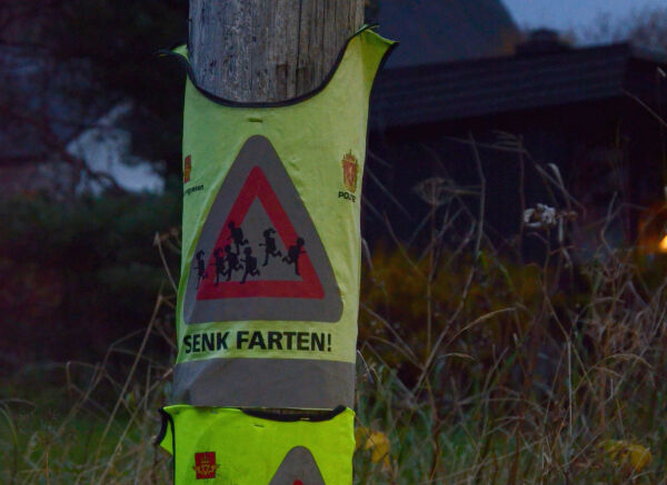 - Må først finne ut kva som er vårt ansvar