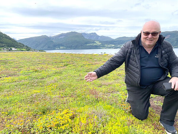 Paradis for måsar og bier