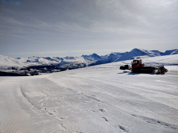 Sette i gang stor frivillig aksjon