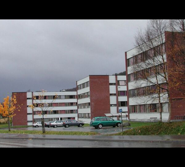 Høg temperatur i debatten