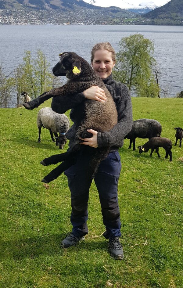 Bærøya gir meg ro i sjela