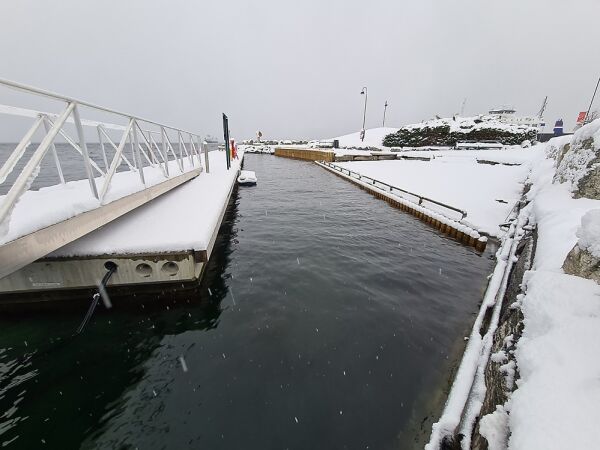 Høg flod