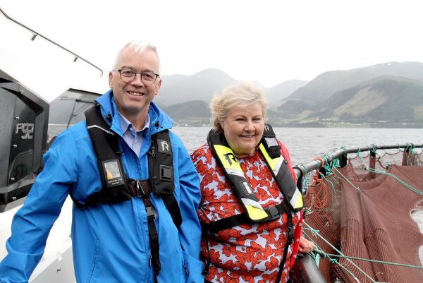 Positiv til fleire oppdrettsanlegg i Voldsfjorden