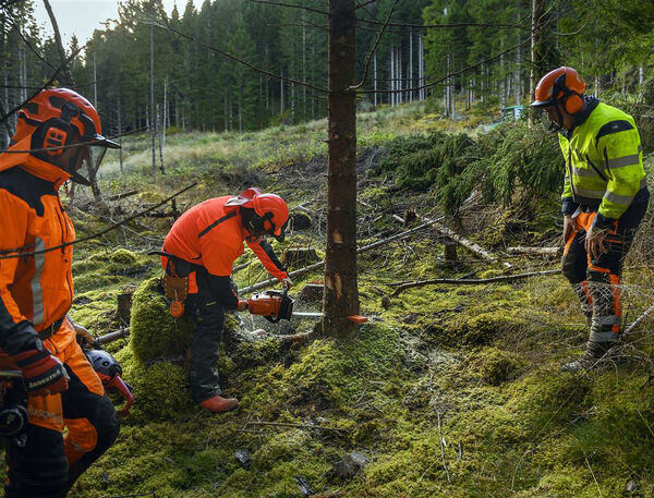 Vil ha unge ut i skogen