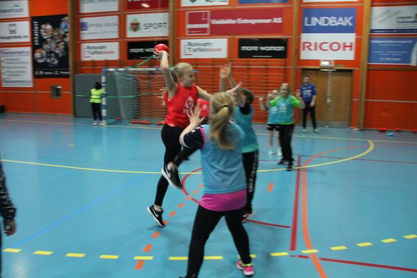 Handballskule vart suksess