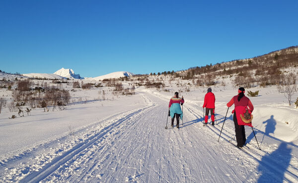 Daleteigane, lysløypa og Åmskaret på topp tre