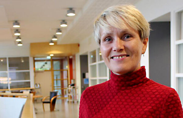 Ørsting utnemnd i Statsråd