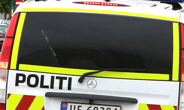 Mindreårige gjorde skadeverk