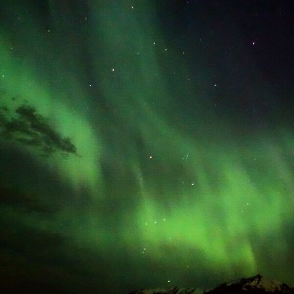 Flott nordlys over Nordvestlandet