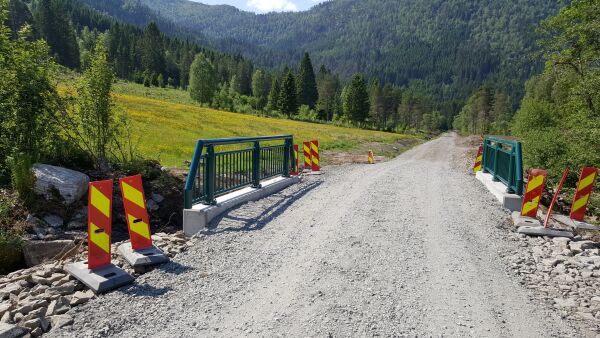 Redusert framkomst på Botnavegen