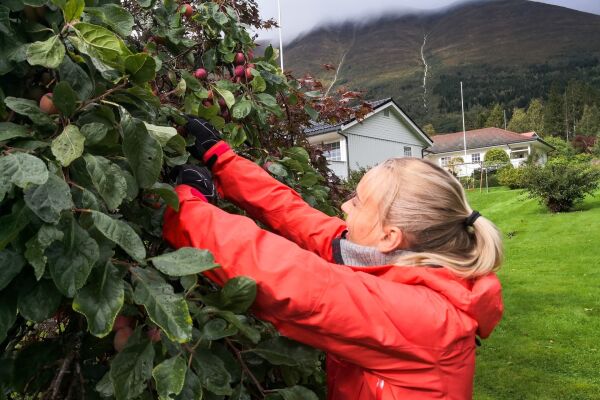 Matauk på Møre folkehøgskule