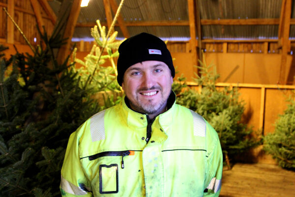 Full aktivitet i juletreskogen