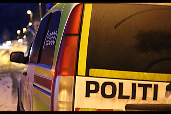 Naudrakett var truleg fyrverkeri