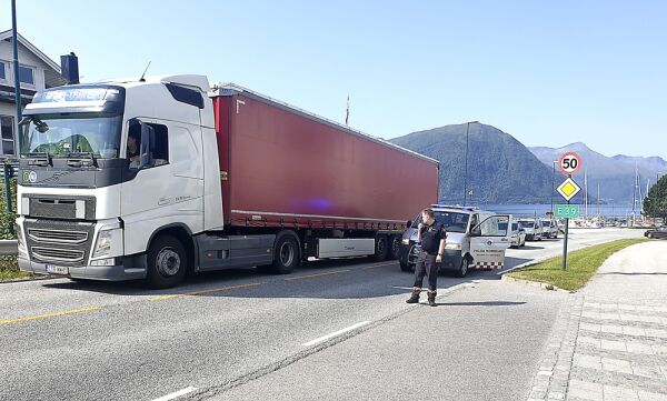 Stoppa i røyksky