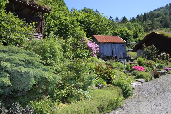 Hildegun sitt hageparadis