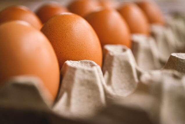 – Importerte egg bør varmebehandlast godt