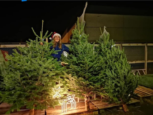 Siktar mot ny salsrekord