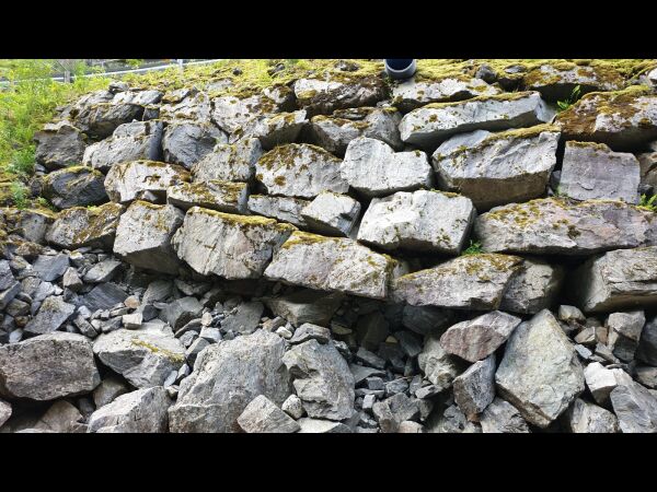 Hastereparerer mur i Stigedalen