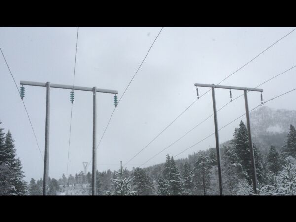 Straumlaust i Dalsfjorden