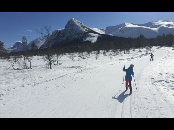 Turtips og fjellråd