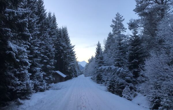 Midtvinter og tid for å kaste ut jula