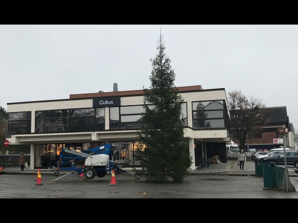 Julegrana er på plass