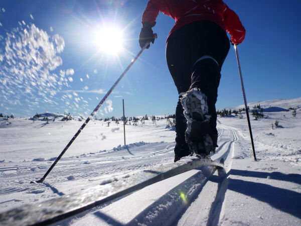 – Nordmenn skal leggje skia i skiboksen