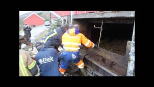 2012: Møkkajobb gjekk skitbra