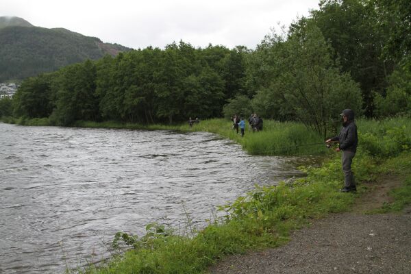 Laksefisket startar 15. juni