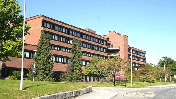 Held ope heile sommaren