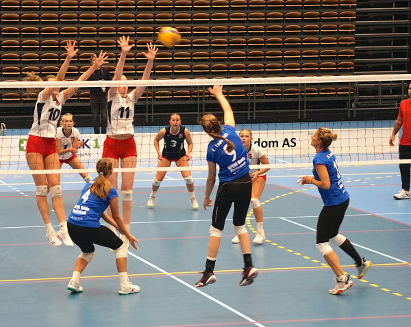 Nesten jamngode