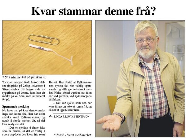 - Det var vi som merka pjakken