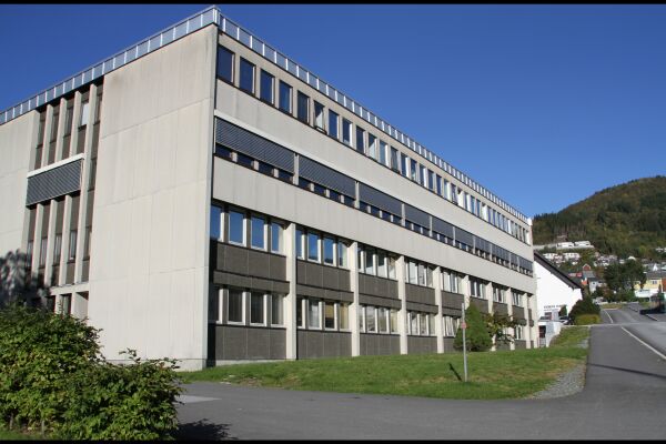 Plass til idrettshall, basseng og ungdomsskulen