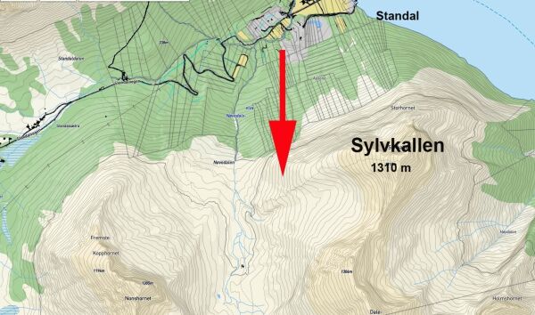 Kvinne redda ut av skred ved Sylvkallen