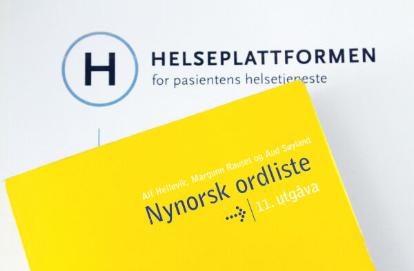 – Nynorsk har ikkje vore tema